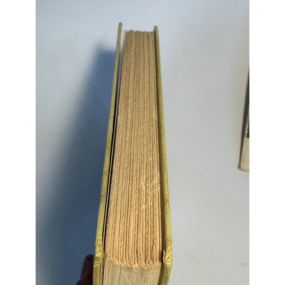 Irving Wallace Sins of Philip Fleming 1959 First Edition First Printing Novel DJ
